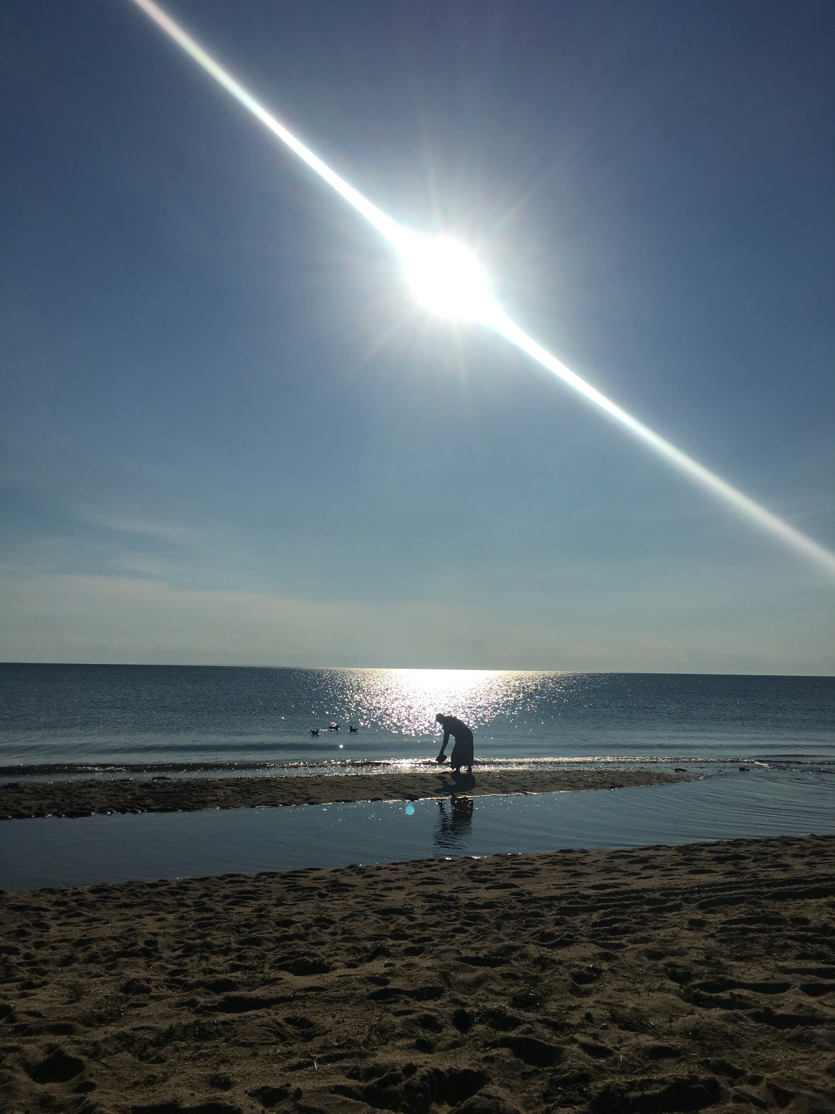 Kite surfer silhouetted against a bright sun on the beach